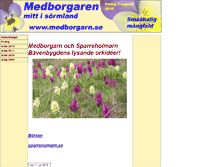 Tablet Screenshot of medborgarn.se